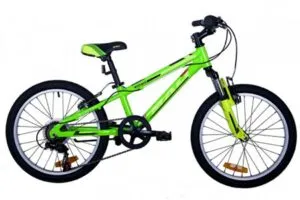 BICICLETA MALI MASTER 20” GREEN
