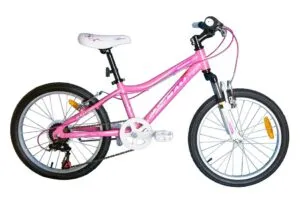 BICICLETA MALI MISTRAL 20" ROZ
