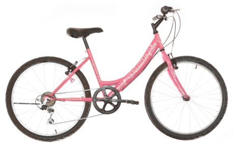 BICICLETA COPII NEUZER CINDY REVO Erikviolet