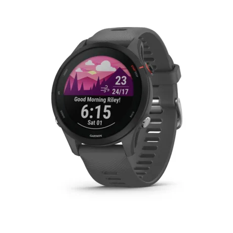 Smartwatch Garmin Forerunner 255 Slate Grey